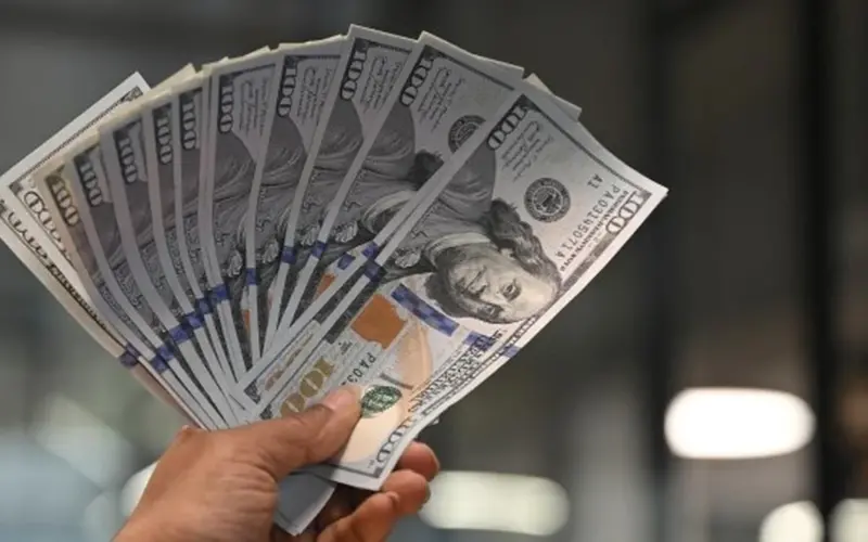 تغيرات سعر الدولار الأمريكي في البنوك المصرية خلال تعاملات يوم السبت